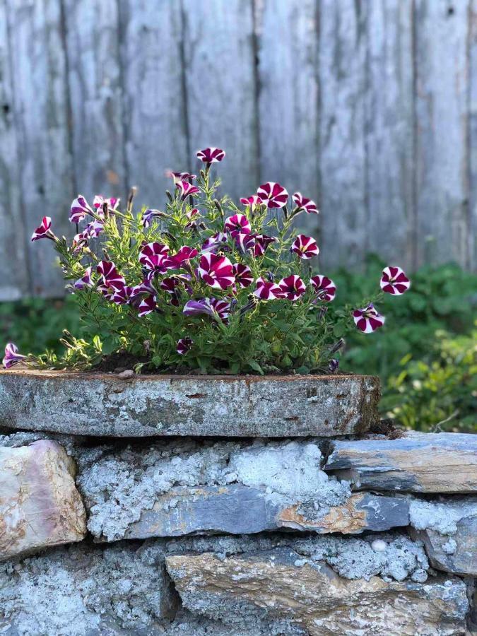 Katun Lanista-Kolibe Bogavac Villa Mojkovac Kültér fotó