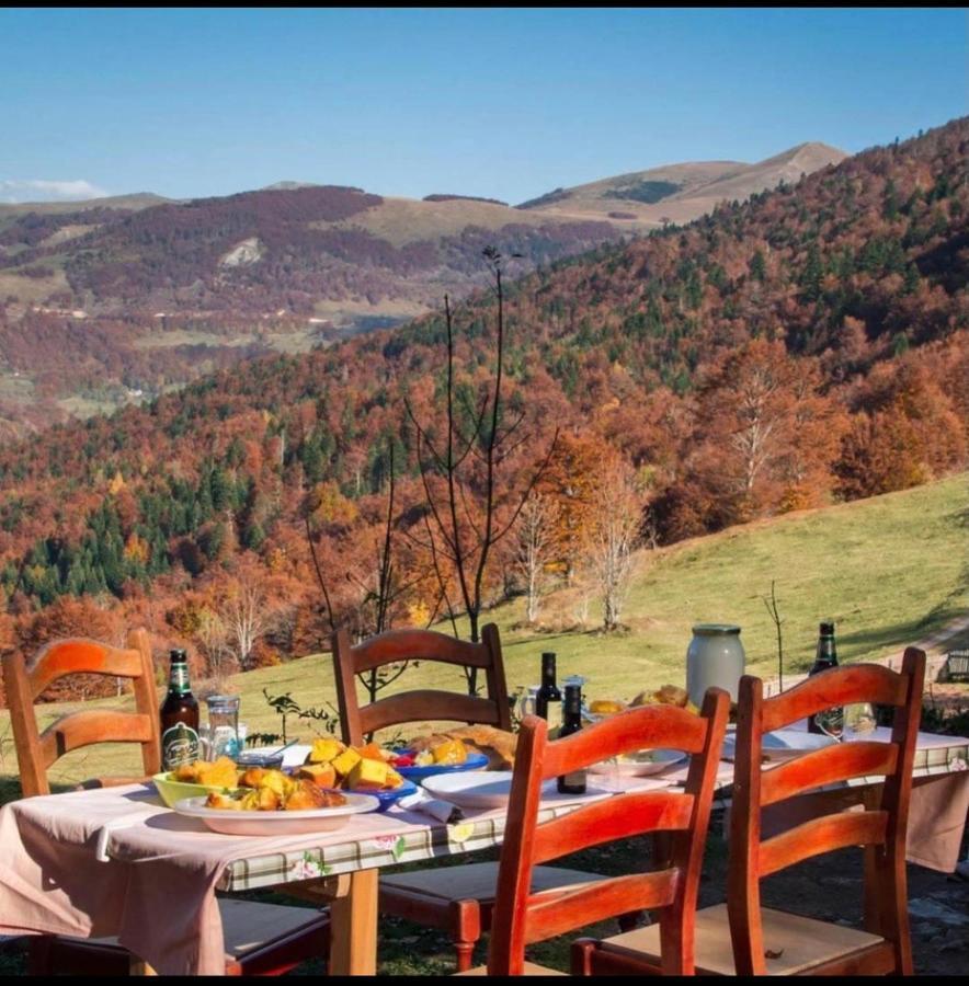 Katun Lanista-Kolibe Bogavac Villa Mojkovac Kültér fotó