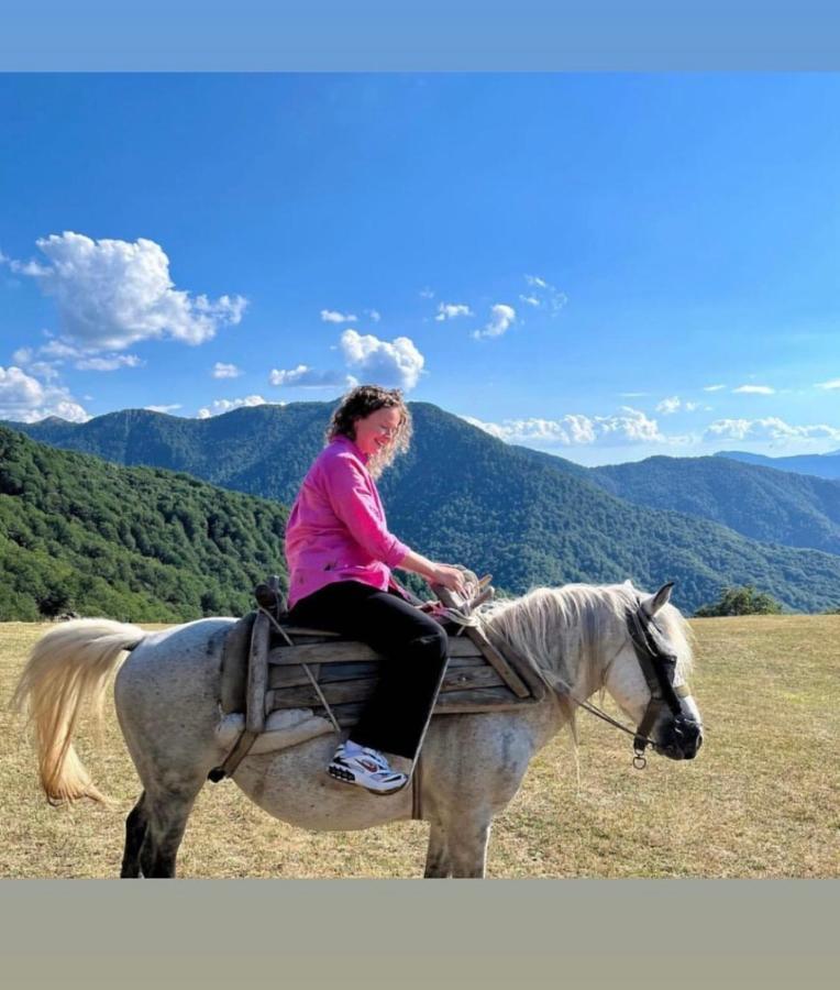 Katun Lanista-Kolibe Bogavac Villa Mojkovac Kültér fotó