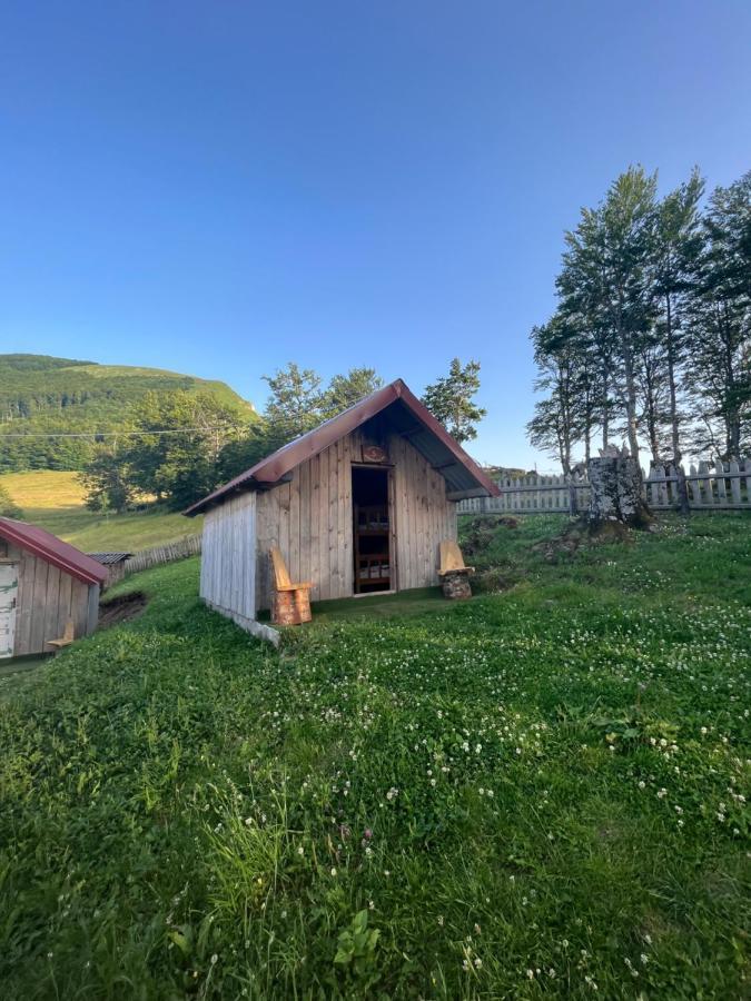 Katun Lanista-Kolibe Bogavac Villa Mojkovac Kültér fotó